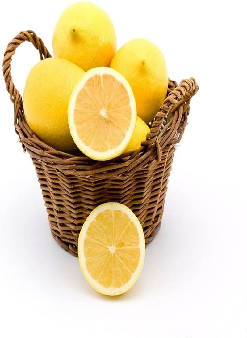 جي جوت 100 قطعة من بذور الليمون، بذور فاكهة موروثة معمرة، مناسبة للزراعة في الحدائق الخارجية، لونها أصفر فاتح، مناسبة للحدائق المزخرفة - Image 2