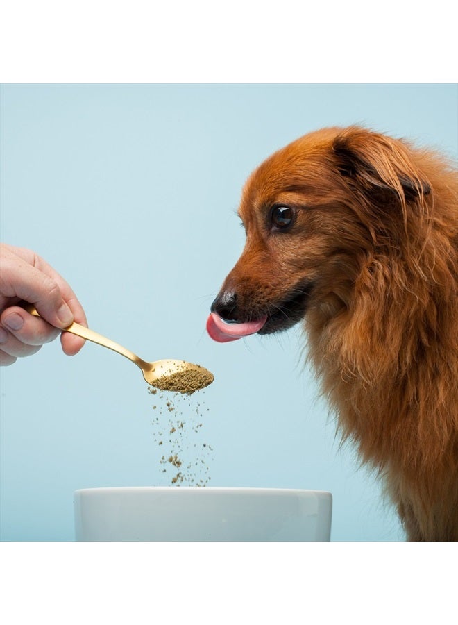 The Missing Link Pet Kelp Canine Skin & Coat 8oz Superfood Powdered Supplement, Organic & Limited Ingredient Formula for Dogs - Image 2