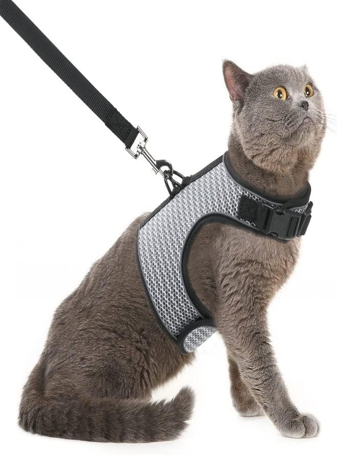 PUPTECK Soft Mesh Cat Vest Harness and Leash Set Puppy Padded Pet Harnesses Escape Proof for Cats Small Dogs Rabbits Bunny - Image 1