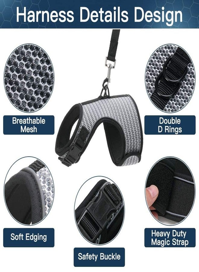 PUPTECK Soft Mesh Cat Vest Harness and Leash Set Puppy Padded Pet Harnesses Escape Proof for Cats Small Dogs Rabbits Bunny - Image 2