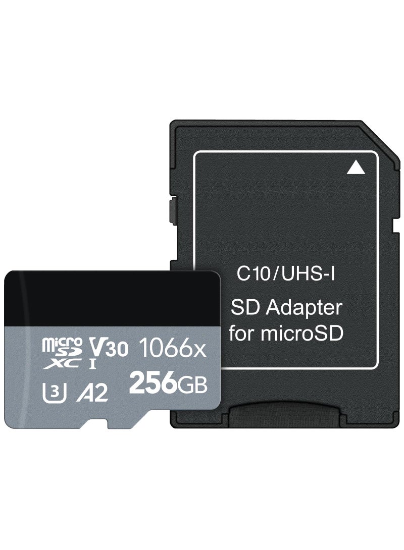 Professional 1066X 256Gb Microsdxc Uhs-I Card With Sd Adapter Silver Series Up To 160Mb/S Read For Action Cameras Drones High-End Smartphones And Tablets - Image 1