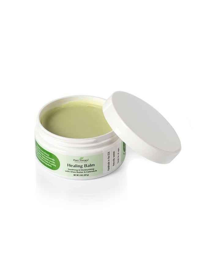 Plant Therapy Healing Balm 8 oz 100% Pure & Natural, Nutrient-Rich Botanical Formula, Soothing Ingredients: Shea Butter, Tamanu Oil, and Calendula Extract  - Image 3