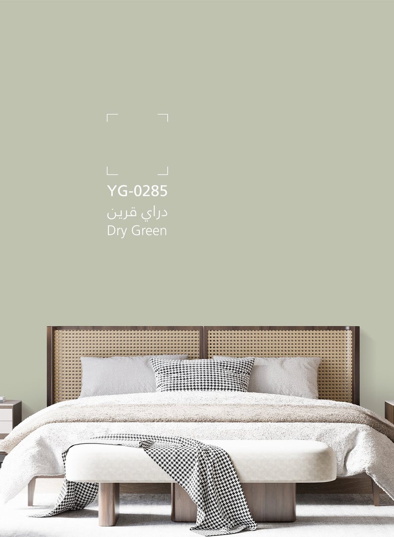 Jazeera Paints Green Interior Walls Paints Silk (color :Dry Green) 3L - Image 2