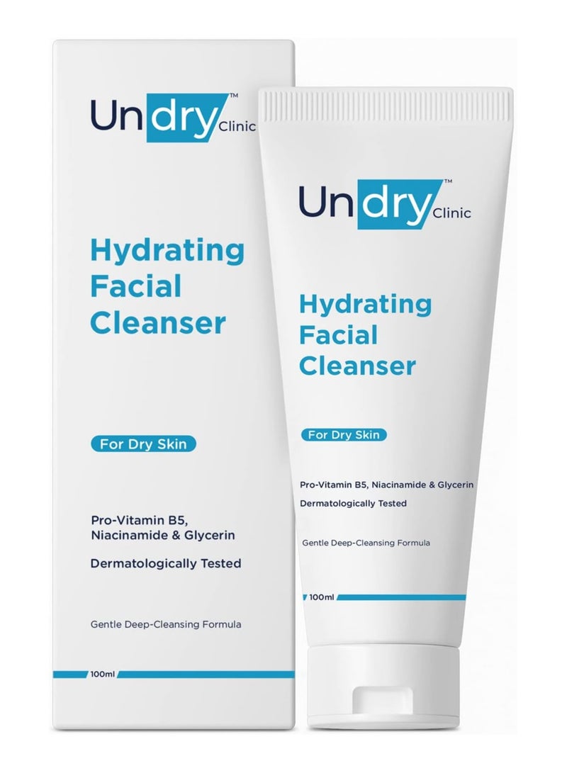 Undry Hydrating Facial Cleanser - Image 1