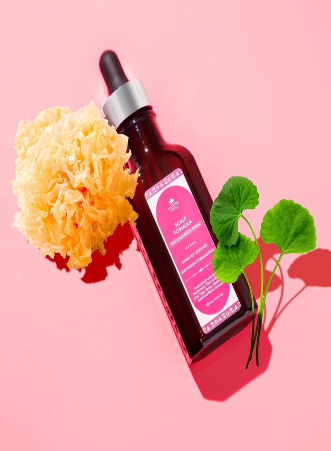 Nature Spell سيروم فروة الرأس من ناتشر سبيل لعلاج فروة الرأس الجافة والحكة، سيروم للشعر مدعوم بحمض الهيالورونيك وفطر الثلج، 1.69 أونصة سائلة - Image 4