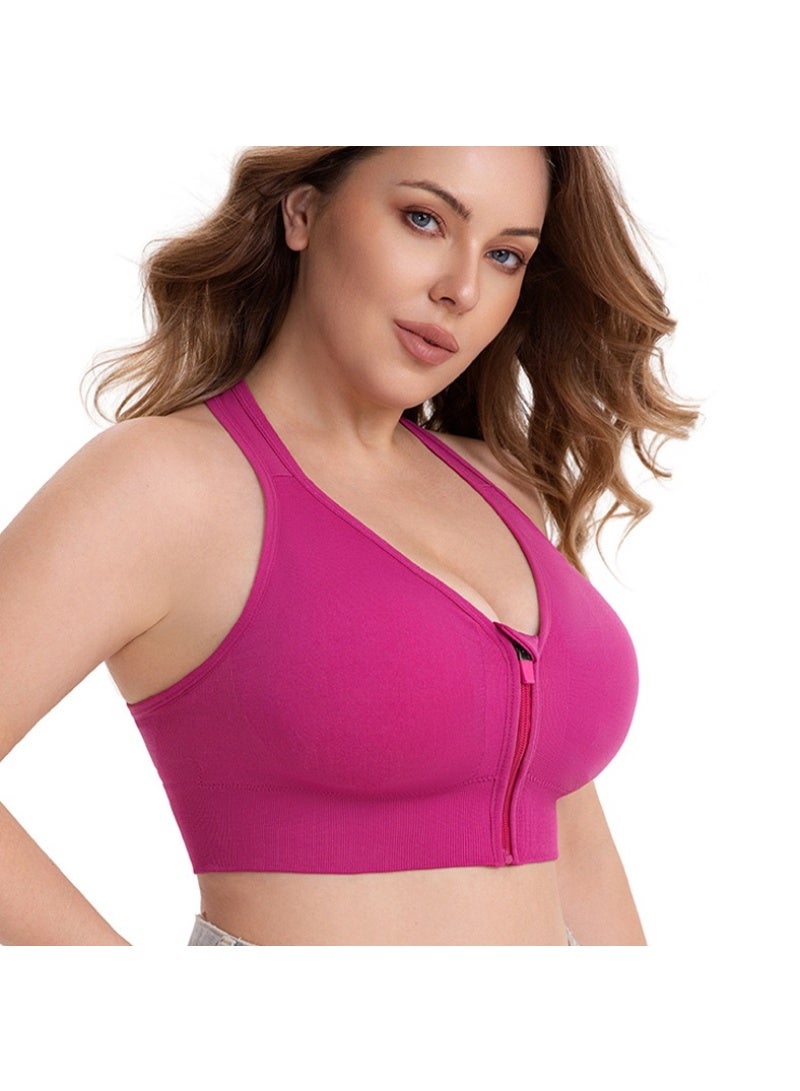 Plus Size Sports Bra Front Zipper Wireless High Support Shockproof Fixed Cup Seamless Fitness Yoga Running - Image 5