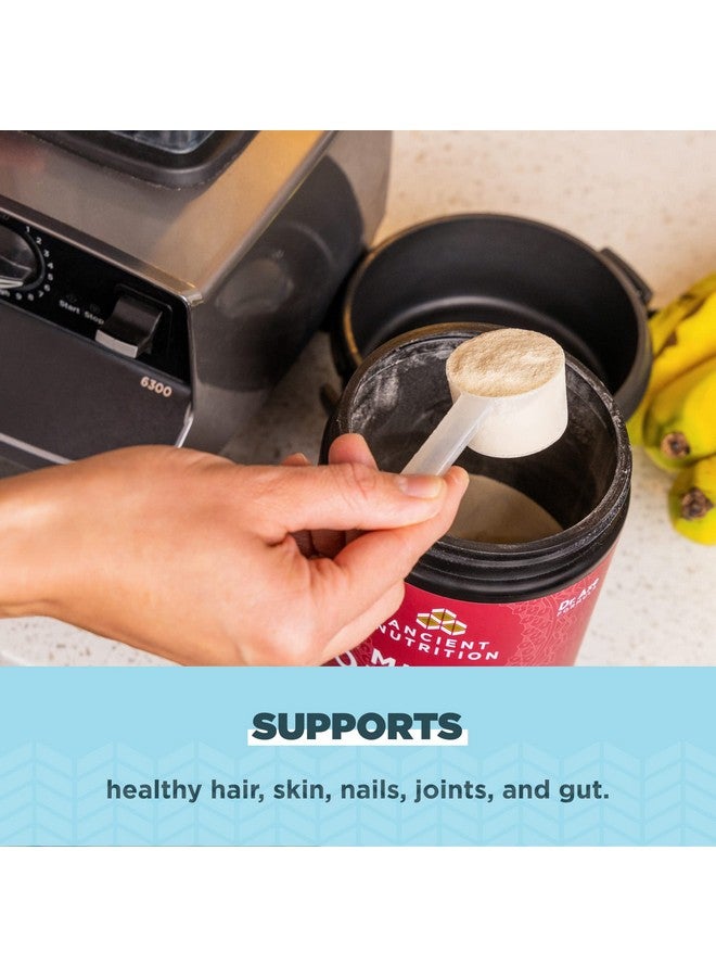 آينشنت نيوترشن مسحوق بروتين الكولاجين من Ancient Nutrition، بروتين الكولاجين المتعدد، ببتيدات الكولاجين المُحللة، يدعم البشرة والأظافر، مكمل غذائي للمفاصل (معزز للدماغ، 45 حصة) - Image 5