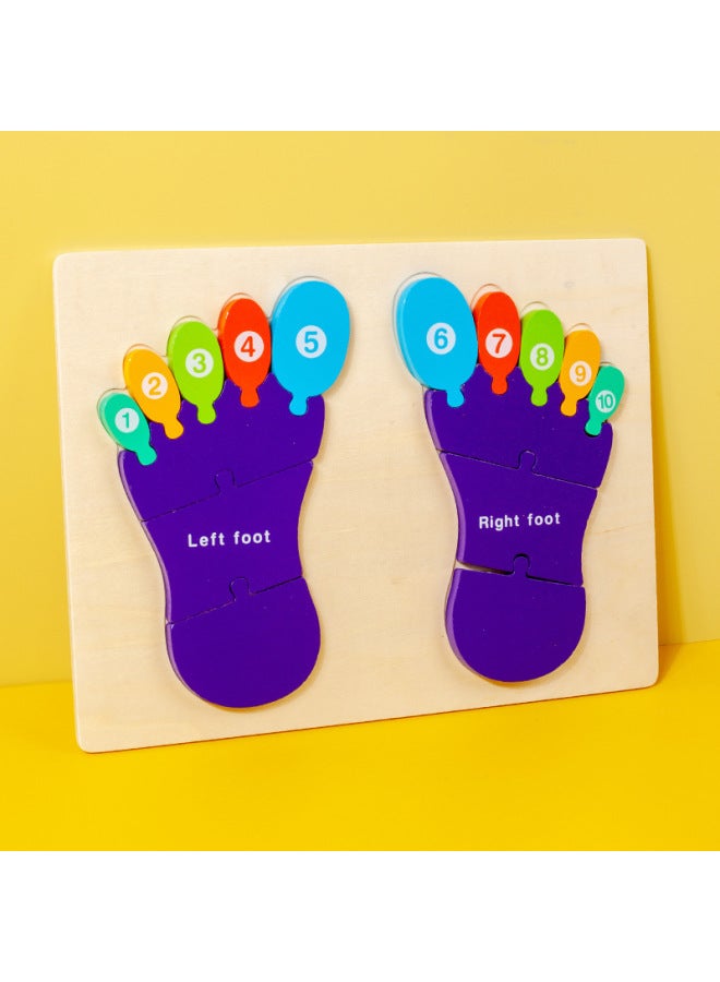 لغز إدراك النخيل الخشبي لليد والقدم وسائل تعليمية منتسوري، هيكل جسم الأطفال، ألعاب تعليمية للإدراك الإنجليزي-اللون: القدم - Image 1