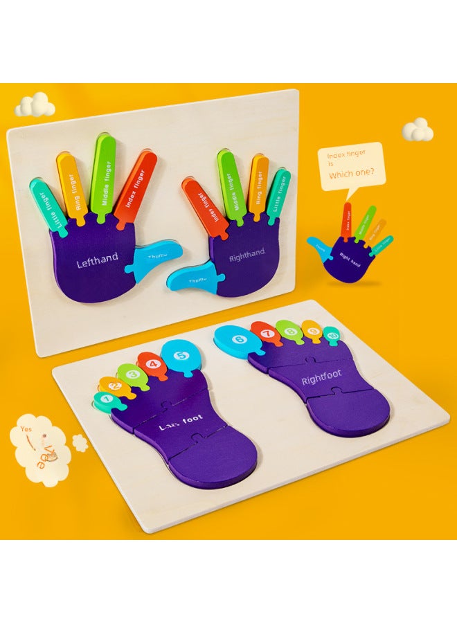 لغز إدراك النخيل الخشبي لليد والقدم وسائل تعليمية منتسوري، هيكل جسم الأطفال، ألعاب تعليمية للإدراك الإنجليزي-اللون: القدم - Image 2