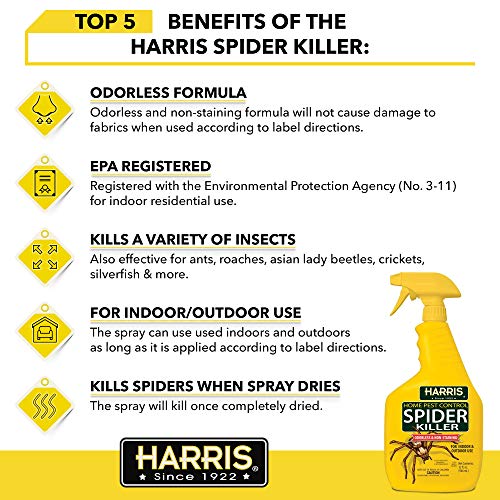HARRIS Spider Killer, Liquid Spray with Odorless and Non-Staining Formula (32oz) - Image 4