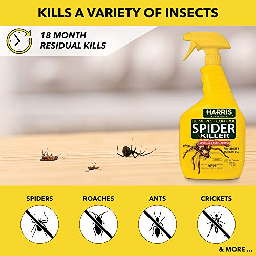 HARRIS Spider Killer, Liquid Spray with Odorless and Non-Staining Formula (32oz) - Image 3