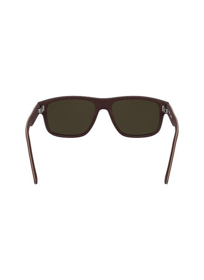 LACOSTE Modified Rectangle Sunglasses  - Image 2