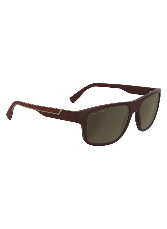 LACOSTE Modified Rectangle Sunglasses  - Image 3