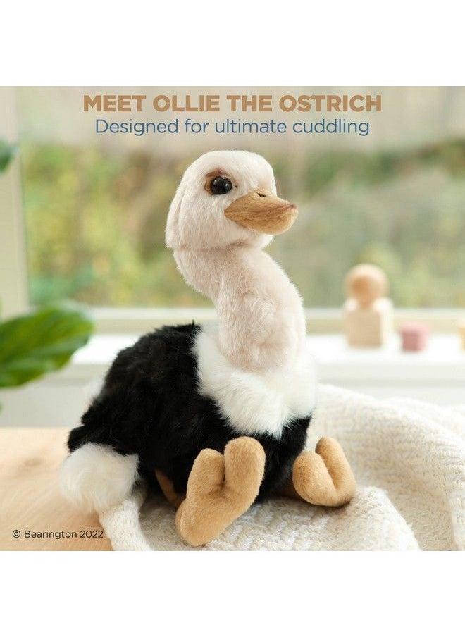 Bearington Collection - Bearington Ollie The Ostrich: نعامة محشوة بطول 9 بوصات ومخيطة يدويًا بريش فائق النعومة وتفاصيل واقعية وحشو ممتاز؛ ذكرى سنوية رائعة لعيد ميلاد محبي الحيوانات والطيور الغريبة - Image 1