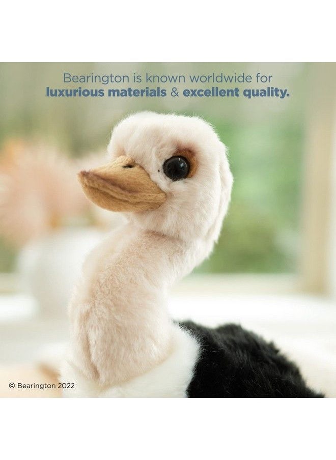Bearington Collection - Bearington Ollie The Ostrich: نعامة محشوة بطول 9 بوصات ومخيطة يدويًا بريش فائق النعومة وتفاصيل واقعية وحشو ممتاز؛ ذكرى سنوية رائعة لعيد ميلاد محبي الحيوانات والطيور الغريبة - Image 1