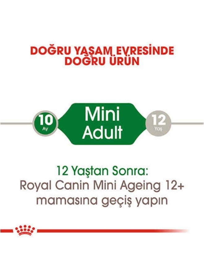 ROYAL CANIN طعام الكلاب الرطب رويال كانين ميني بالغ - 85 جرام - Image 5