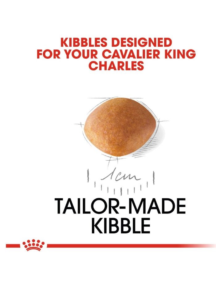 ROYAL CANIN Breed Health Nutrition Cavalier King Charles Puppy 1.5 KG - Image 2