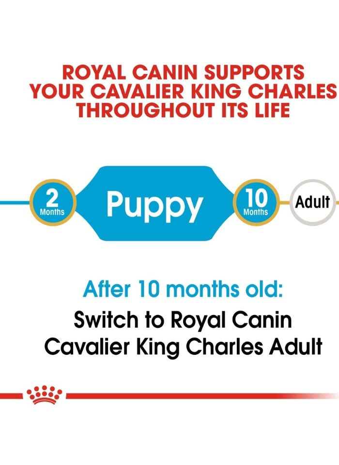 ROYAL CANIN Breed Health Nutrition Cavalier King Charles Puppy 1.5 KG - Image 4