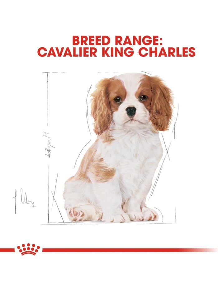 ROYAL CANIN Breed Health Nutrition Cavalier King Charles Puppy 1.5 KG - Image 5