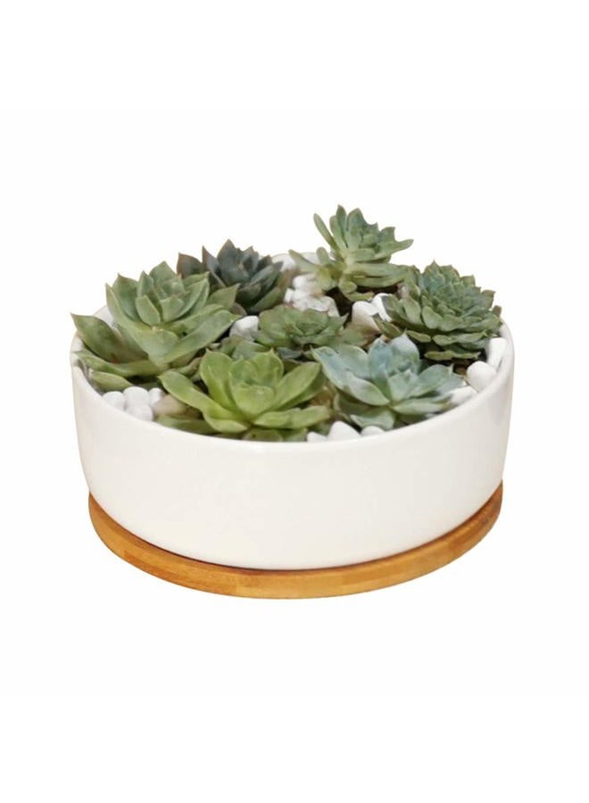 LANKER 6.3 Inch Round White Ceramic Succulent Planter Pot Decorative Cactus Plant Pot Flower Container with Bamboo Tray (Round 6.3Inch) - Image 1