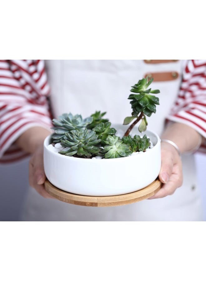 LANKER 6.3 Inch Round White Ceramic Succulent Planter Pot Decorative Cactus Plant Pot Flower Container with Bamboo Tray (Round 6.3Inch) - Image 4