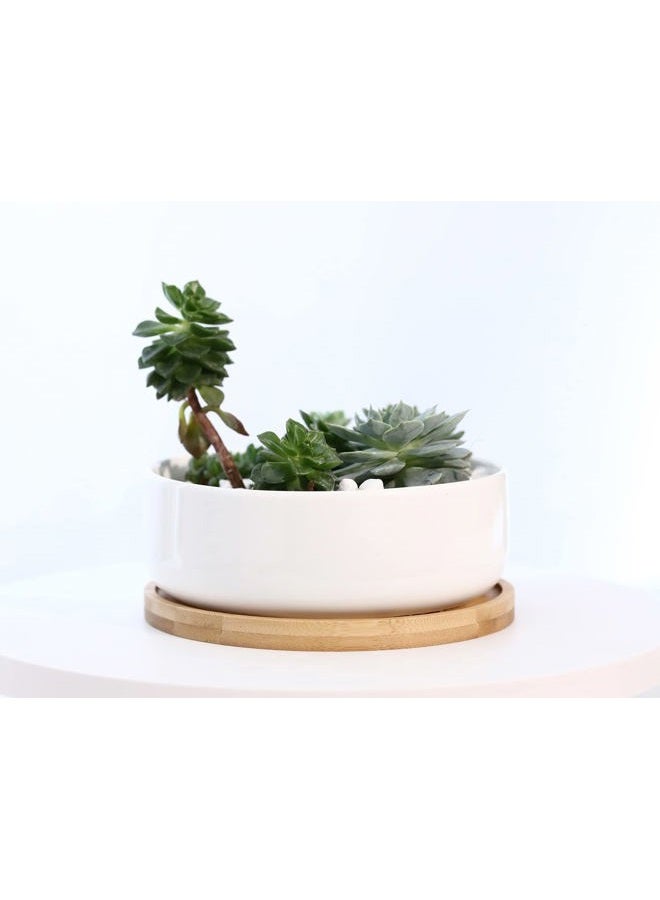 LANKER 6.3 Inch Round White Ceramic Succulent Planter Pot Decorative Cactus Plant Pot Flower Container with Bamboo Tray (Round 6.3Inch) - Image 5
