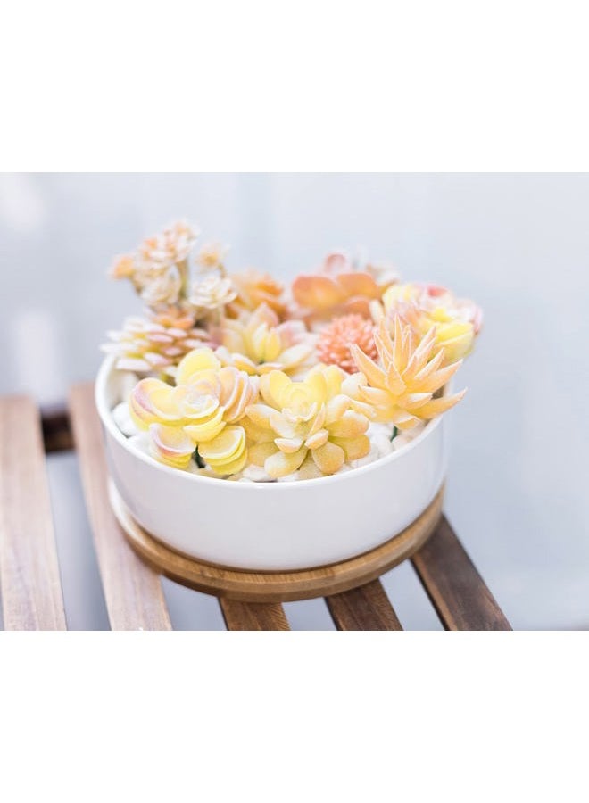 LANKER 6.3 Inch Round White Ceramic Succulent Planter Pot Decorative Cactus Plant Pot Flower Container with Bamboo Tray (Round 6.3Inch) - Image 3