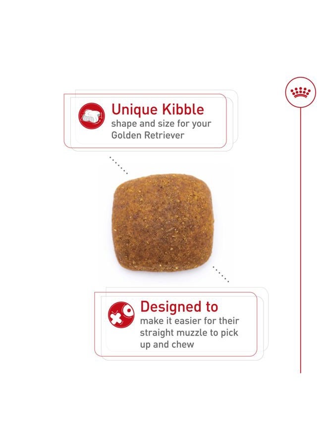 Royal Canin Golden Retriever Adult Dry Dog Food, 30 lb bag - Image 2