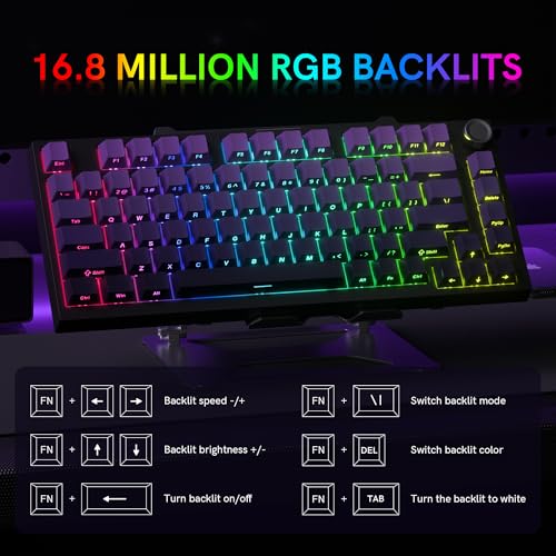 COSTOM WK75 75% Wireless Gaming Mechanical Keyboard,BT5.0/2.4GHz/USB-C, Hot Swappable Pre-lubed Custom Linear Switches,Gasket Structure,RGB Backlit Keyboard for PC/Laptop/Xbox/PS4/PS5 (Purple) - Image 5