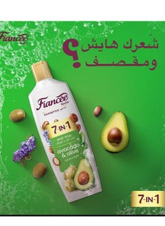 Fiancee Shampoo 7-In-1 Anti-Frizz Avocado&Olive 340ml - pzsku/Z59A4416188B26E1467B4Z/45/_/1719908128/56b27df6-8bb5-41f1-8bc5-580333b7b510