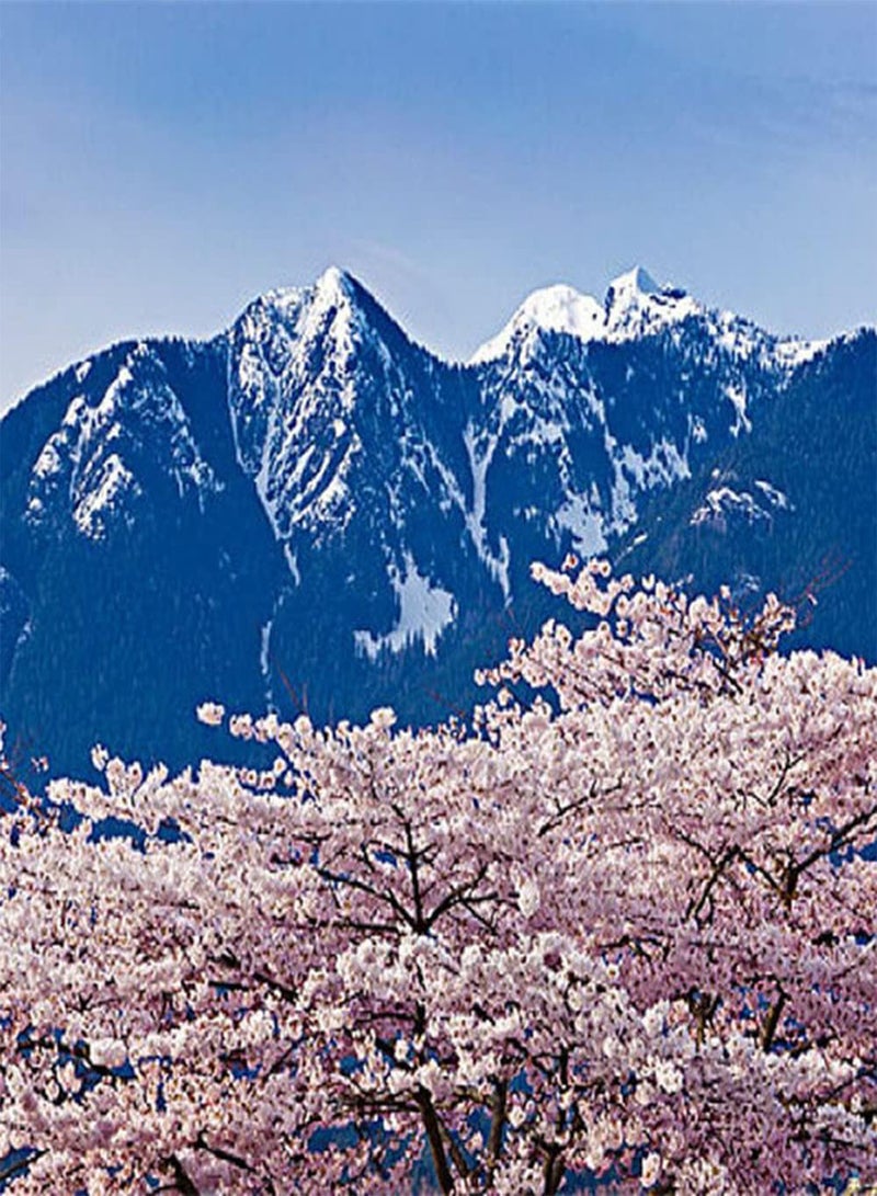 GGOOT 50Pcs Sakura Seeds Cherry Blossoms Tree Outdoor Planting Landscape Road Greening Decorative Beautiful Flowers Light Up Your Garden - Image 3