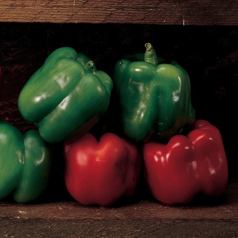 Burpee Emerald Giant Sweet Pepper Seeds 30 seeds - Image 1