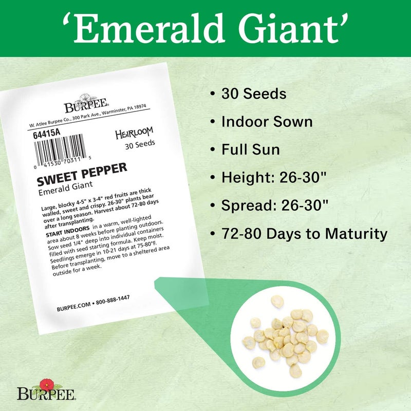 Burpee Emerald Giant Sweet Pepper Seeds 30 seeds - Image 3