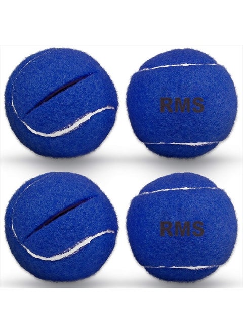 Walker Glide Balls - A Set of 4 Balls with Precut Opening for Easy Installation, Fit Most Walkers (Blue)
