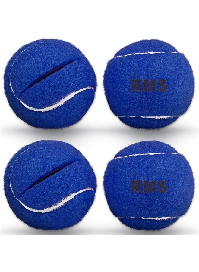 RMS Walker Glide Balls - A Set of 4 Balls with Precut Opening for Easy Installation, Fit Most Walkers (Blue)  - Image 1