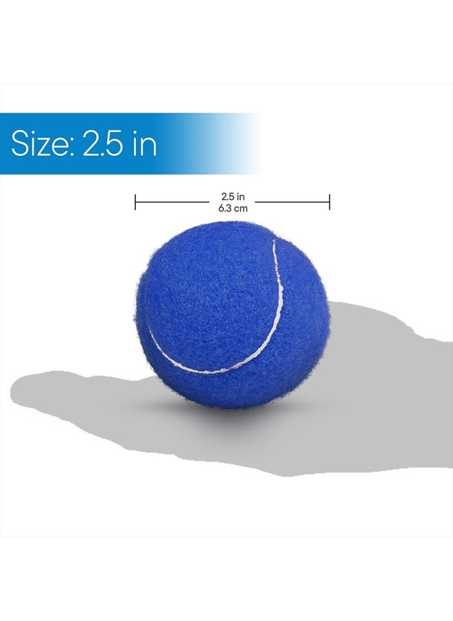 RMS Walker Glide Balls - A Set of 4 Balls with Precut Opening for Easy Installation, Fit Most Walkers (Blue)  - Image 5