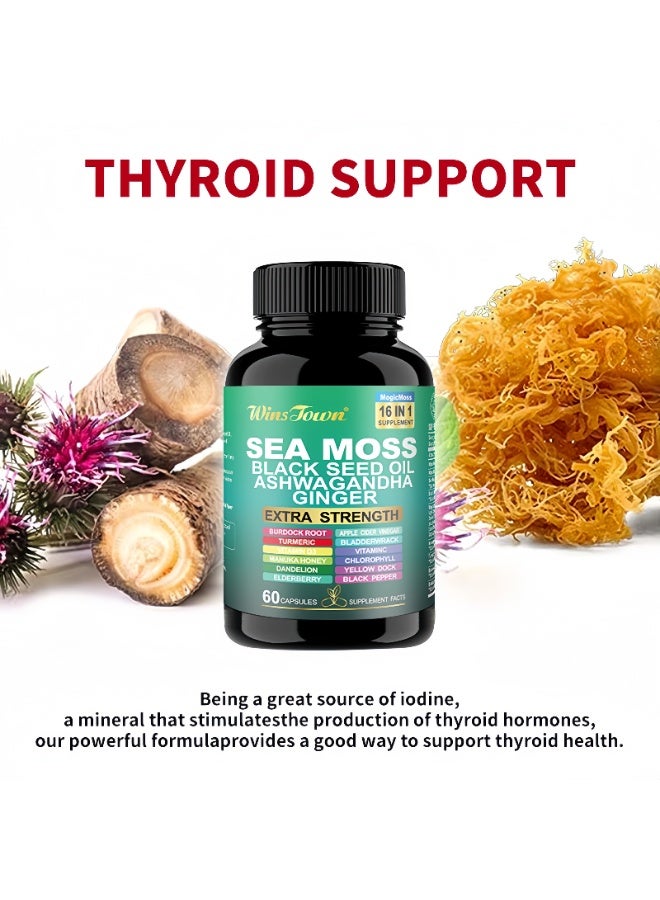 WinsTown Sea Moss 16-in-1 Complex Capsules | 60 Capsules | Contains Black Seed Oil, Ashwagandha, Ginger, etc. | Strengthens Immunity and Metabolism | Natural Herbal Extracts | No Additives - Image 4