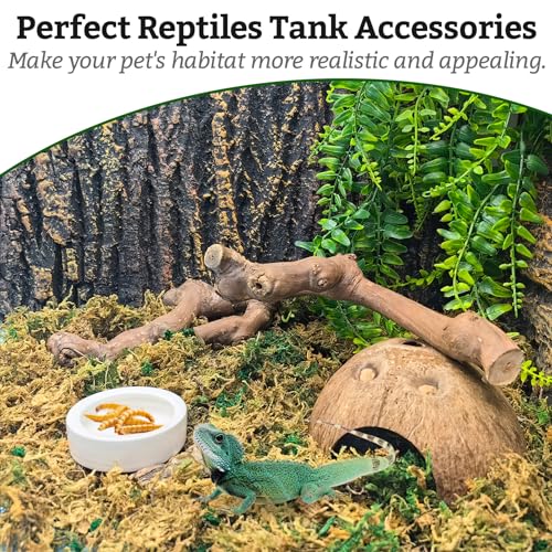 VCEPJH Large Snake Climbing Branch Decor 15.5 in Natural Reptile Wood Cork Log Bearded Dragon Tank Accessories Tree Trunk for Chameleon Gecko Ball Python Frog - Image 3