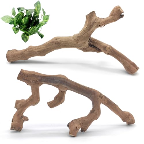 VCEPJH Large Snake Climbing Branch Decor 15.5 in Natural Reptile Wood Cork Log Bearded Dragon Tank Accessories Tree Trunk for Chameleon Gecko Ball Python Frog - Image 1