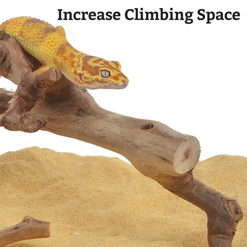 VCEPJH Large Snake Climbing Branch Decor 15.5 in Natural Reptile Wood Cork Log Bearded Dragon Tank Accessories Tree Trunk for Chameleon Gecko Ball Python Frog - Image 5