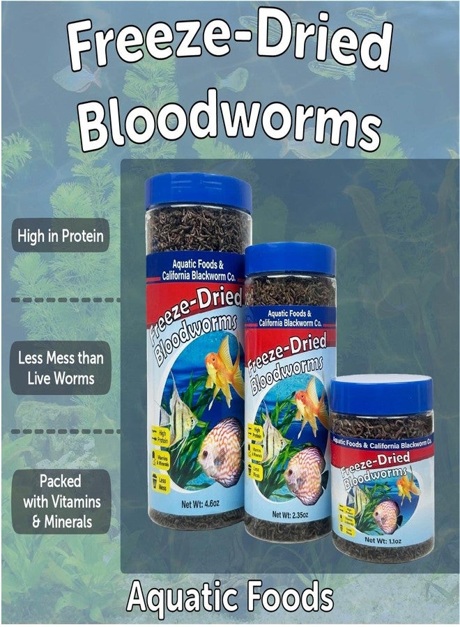 Aquatic Foods Inc. ديدان الدم من شركة أكواتيك فودز، ديدان دم مجففة بالتجميد من الدرجة الأولى، عائمة، مناسبة لأسماك السيكلد، والديسكس، والسمك الذهبي، والبيتا، وسمك الملائكة، والأسماك البحرية. تتضمن العبوة مزيجًا من 12 نوعًا من الحبيبات ومزيجًا من 4 أنواع من الرقائق. وزن العبوة 2.35 أونصة. - Image 5