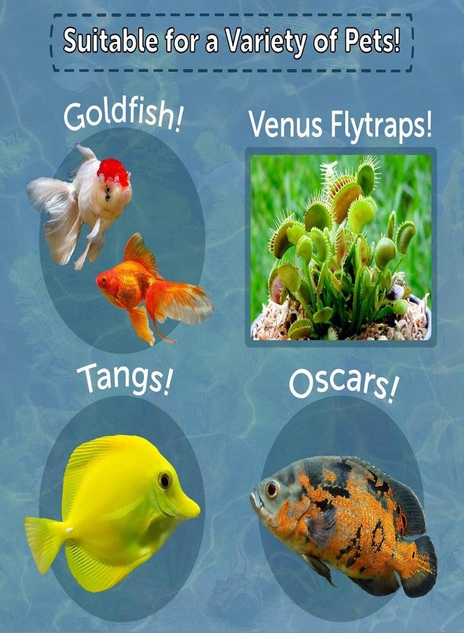 Aquatic Foods Inc. ديدان الدم من شركة أكواتيك فودز، ديدان دم مجففة بالتجميد من الدرجة الأولى، عائمة، مناسبة لأسماك السيكلد، والديسكس، والسمك الذهبي، والبيتا، وسمك الملائكة، والأسماك البحرية. تتضمن العبوة مزيجًا من 12 نوعًا من الحبيبات ومزيجًا من 4 أنواع من الرقائق. وزن العبوة 2.35 أونصة. - Image 3