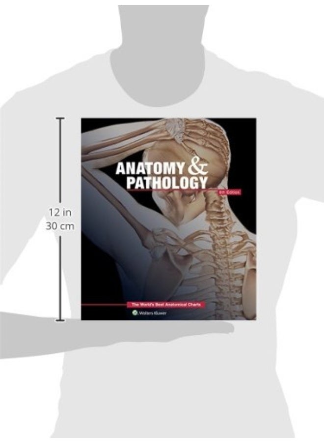 Anatomy & Pathology:The World's Best Anatomical Charts Book - Image 5