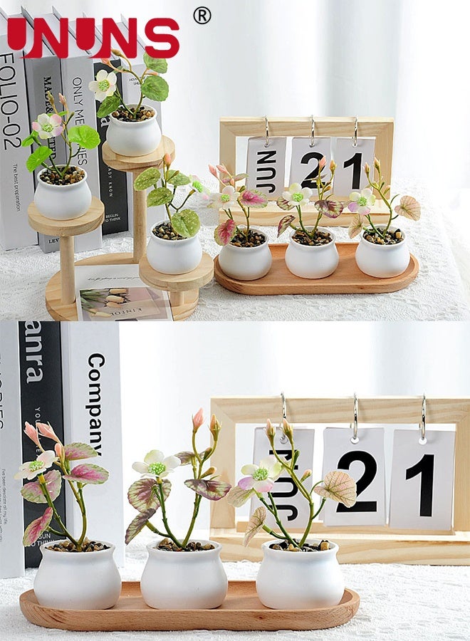 UNUNS Fake Plants Potted,6 pcs Artificial Mini Bonsai Plant Set,Realistic Plant Decor with Pot,Faux Plants,Mini Potted Plants,Faux Greenery for Home Office Party Indoor Window Decor,6x12cm - Image 5