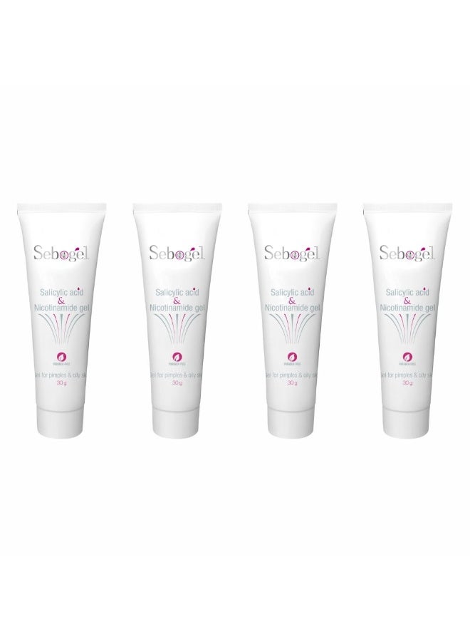 Ethiglo Sebogel Salicylic Acid & Nicotinamide Gel for Pimples and Oily Skin  30gm (Pack of 04) - Image 1