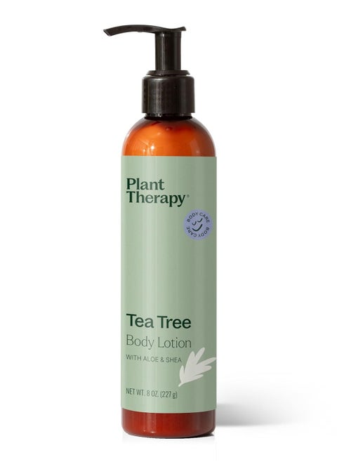 Plant Therapy Tea Tree Body Lotion with Aloe and Shea, Hydrate and Nourish Skin with Botanical Ingredients, 8 oz