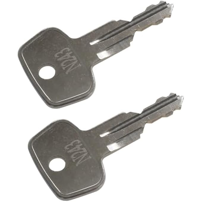 rayihni Car Rack Replacement Key N243 (2 Pcs) Fits for Thule Compatible Roof Racks, Cargo Box, Carriers, Crossbars Code N243 - Image 2