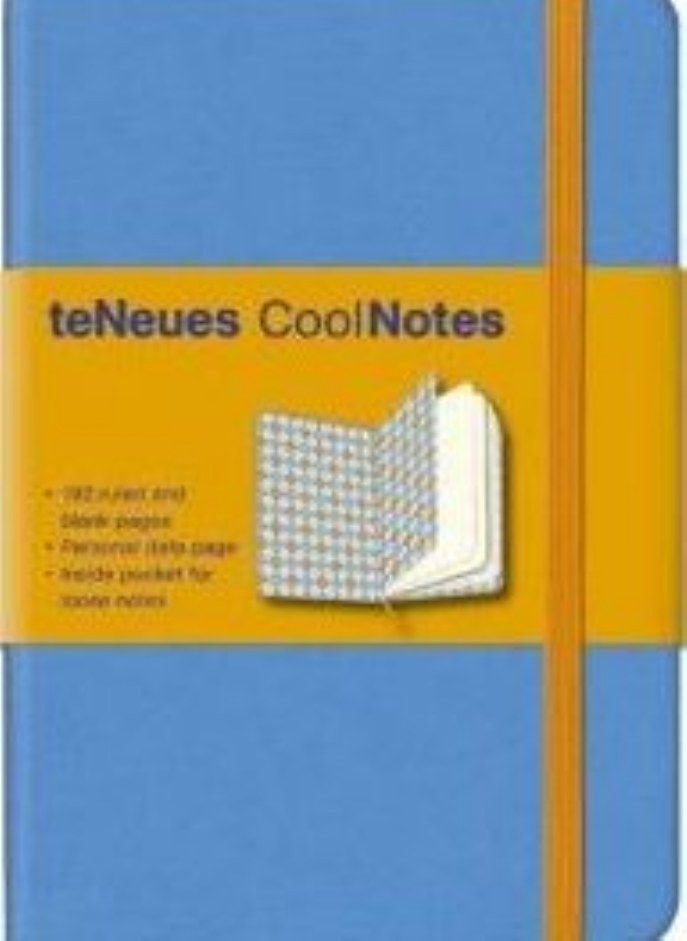 Light Blue Argyle Coolnotes Journal 