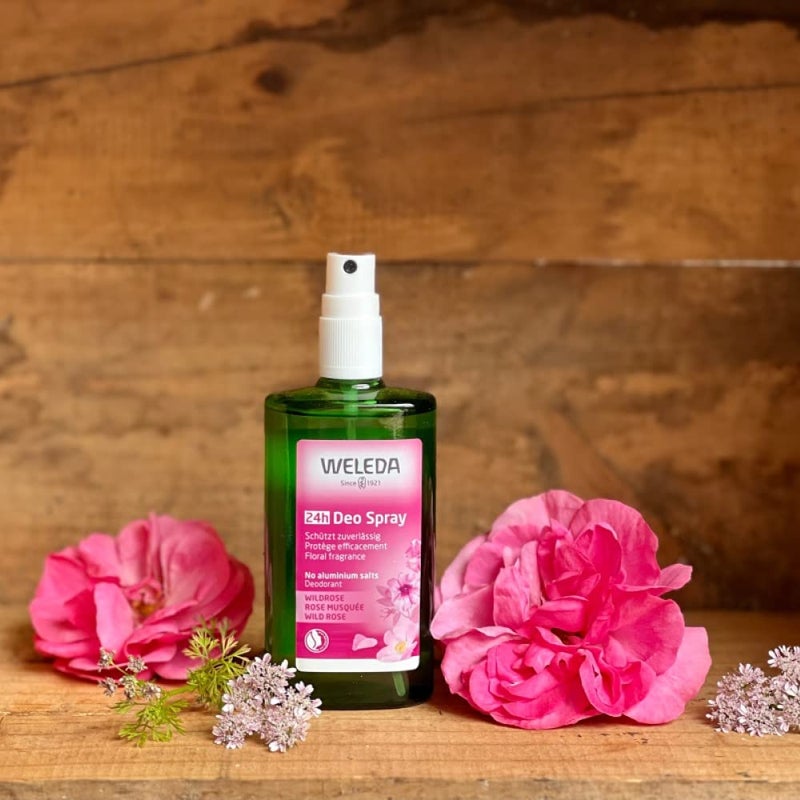 Weleda Wild Rose 24h Deodorant Spray, 3.4 Ounce - Image 2