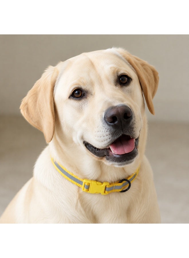 Bravo Reflective Nylon Collar for Small Dogs, Adjustable Neck Size up to 35cm (14in), Available in Yellow, Orange and Red - Image 1